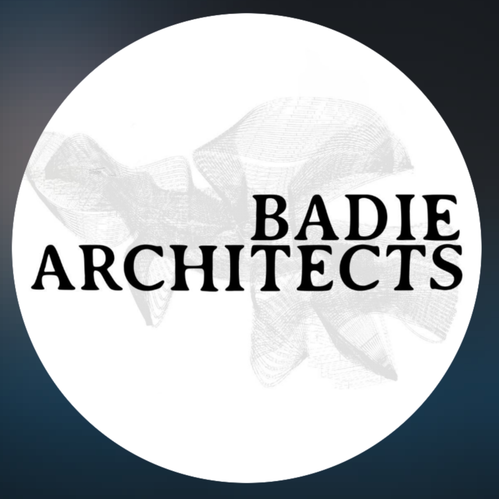 Badie Architects (Egypt)