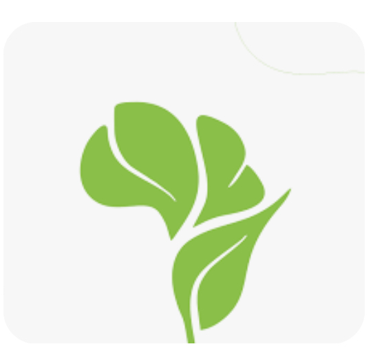 Releaf Africa (Nigeria)