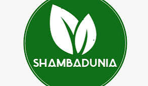 ShambaDunia (Tanzania)