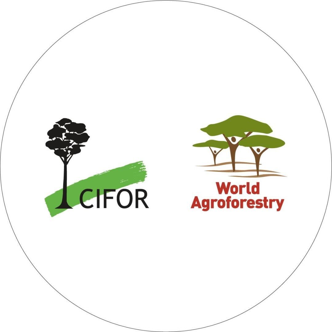 WORLD AGROFORESTRY CENTRE (ICRAF)
