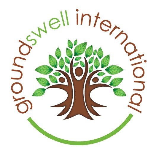 GROUNDSWELL INTERNATIONAL 