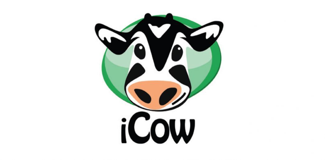 iCow