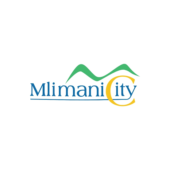 Mlimani City Shopping Mall (Tanzania)