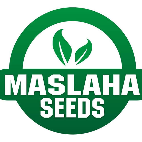 Maslaha Seeds Nigeria Limited (Nigeria)