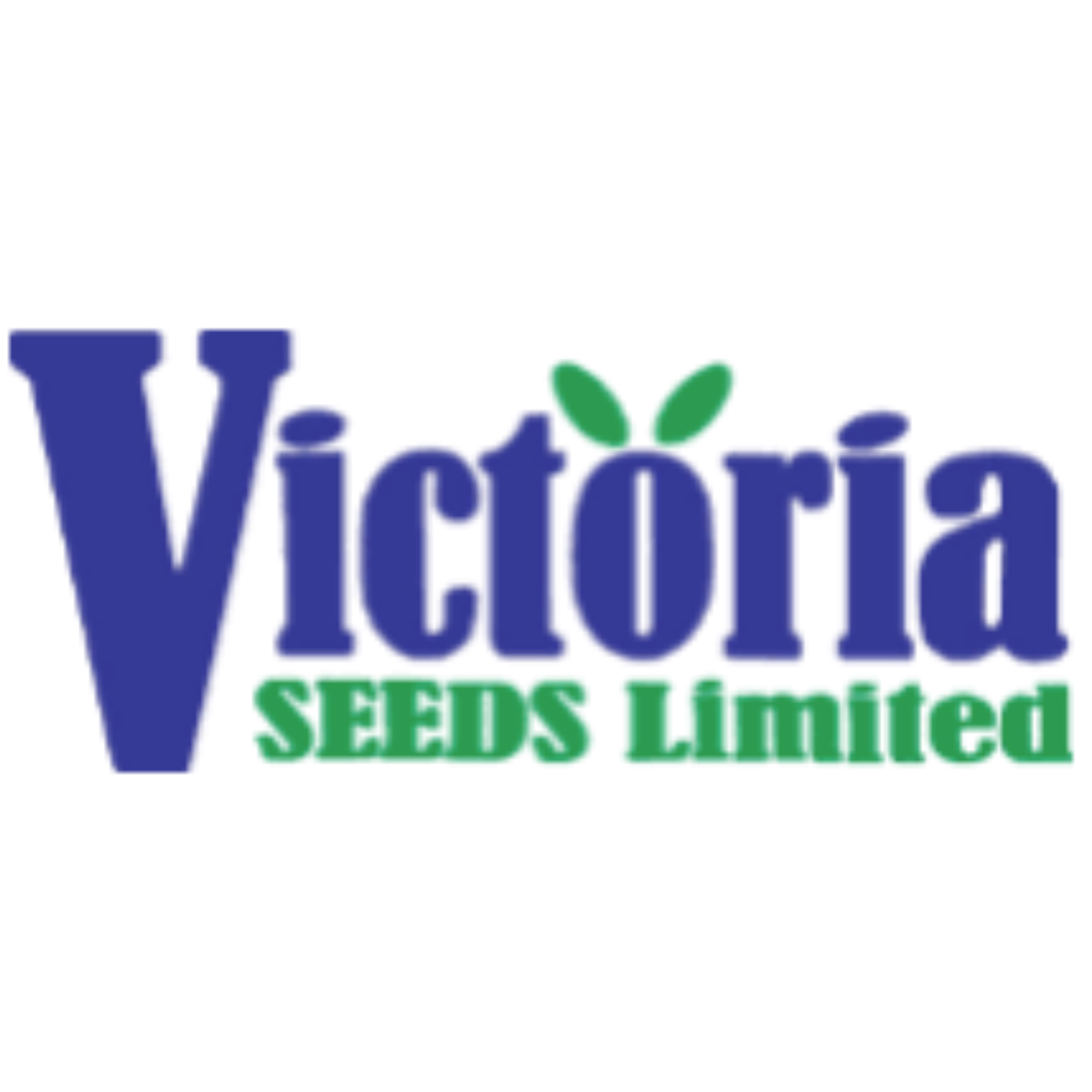 Victoria Seeds LTD (Uganda)