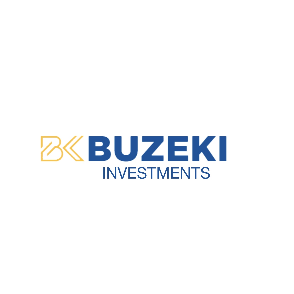 Buzeki Investments (Kenya)